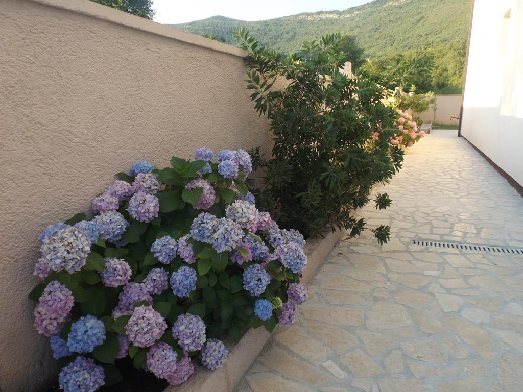 تيفات Apartmani Bulajic المظهر الخارجي الصورة